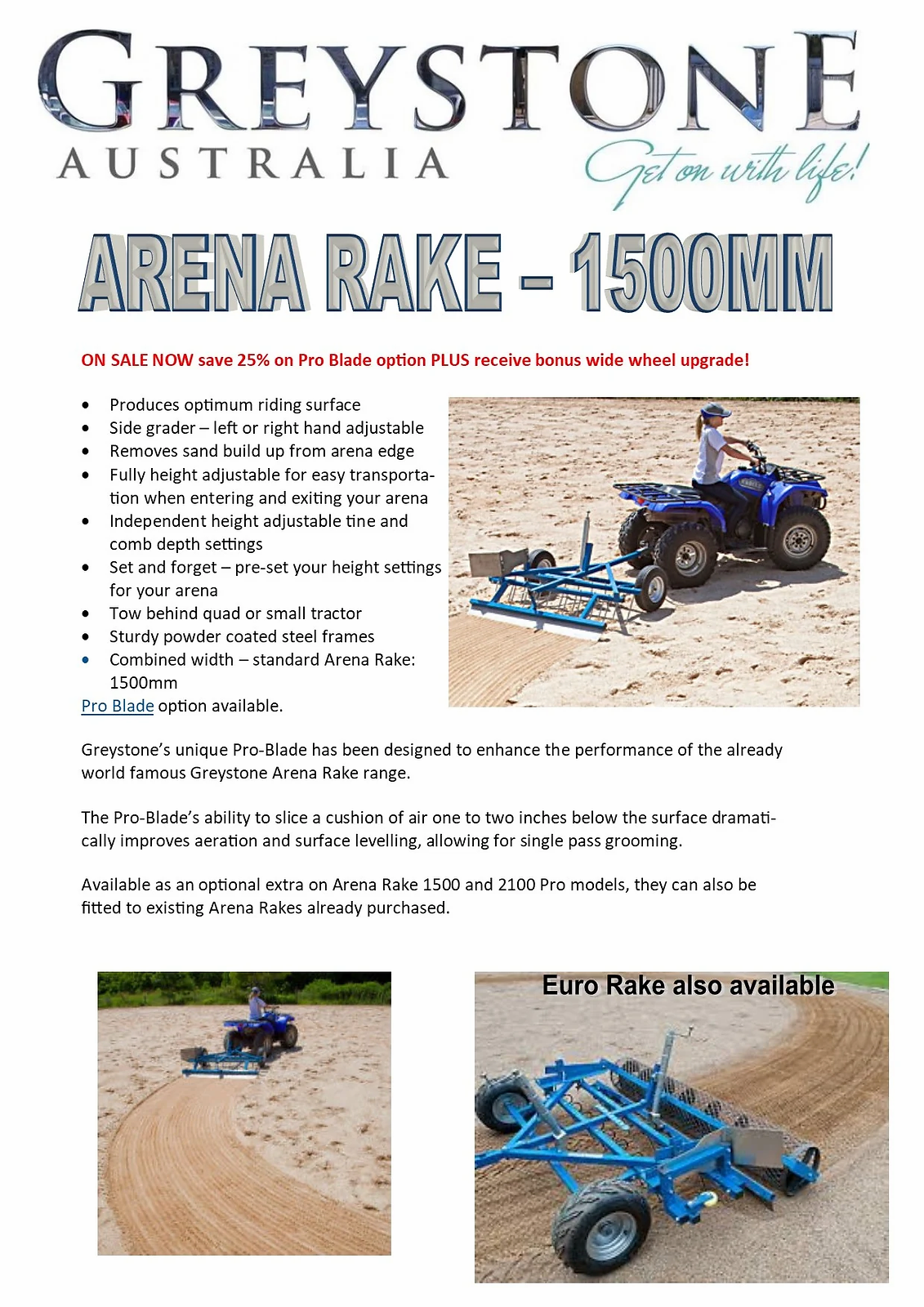 Greystone Arena Rake 2.webp